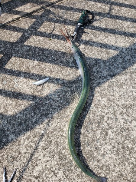 シーバスリベンジ2