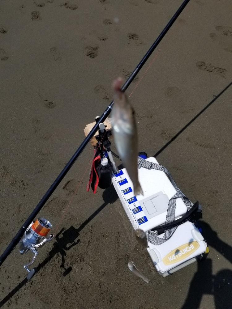 近場でキス釣り