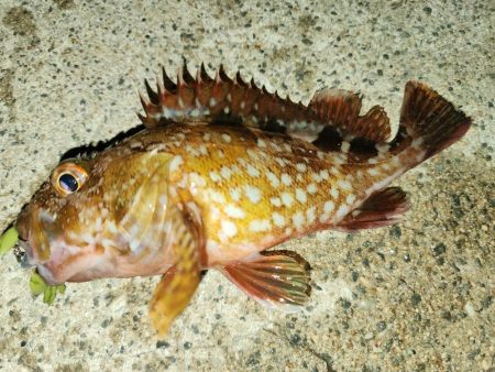 ライトロックゲーム