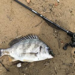 赤水でもバイト連発