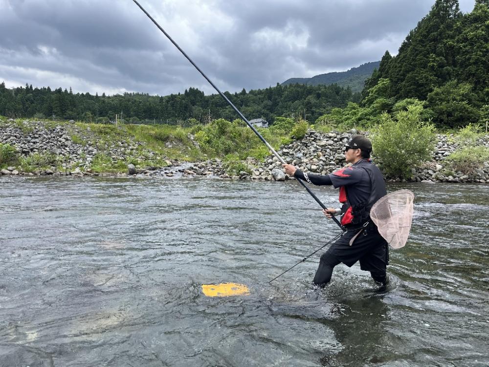 人生2度目の友釣り