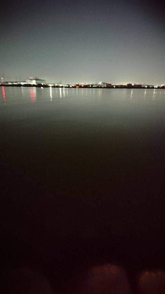 安定のチニング