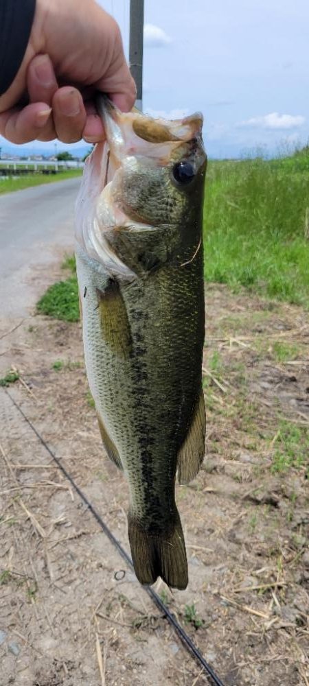 ロープレッシャーと水質