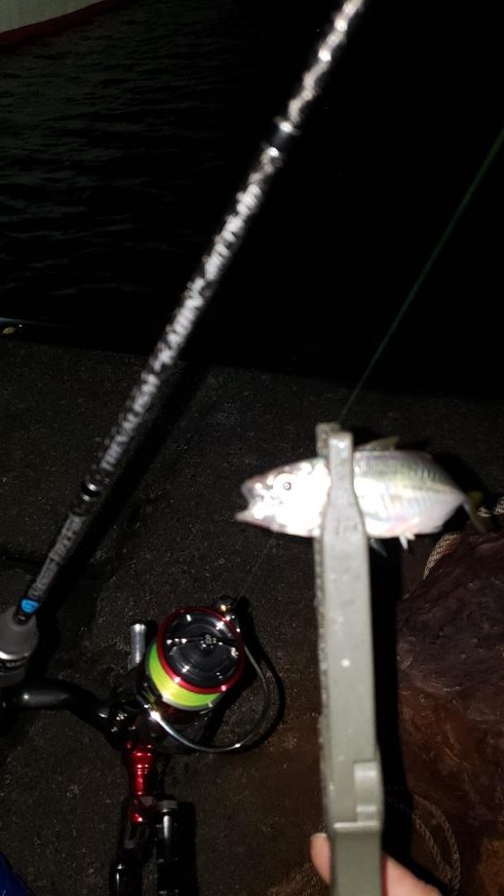 新規さんとコラボ釣行。