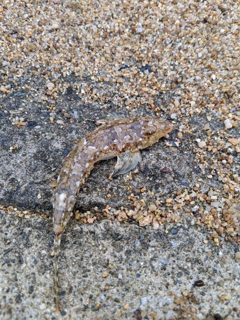 ツーリングからの