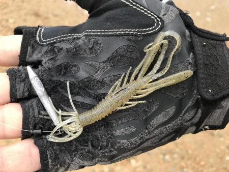 タフコンでショートバイトに苦戦