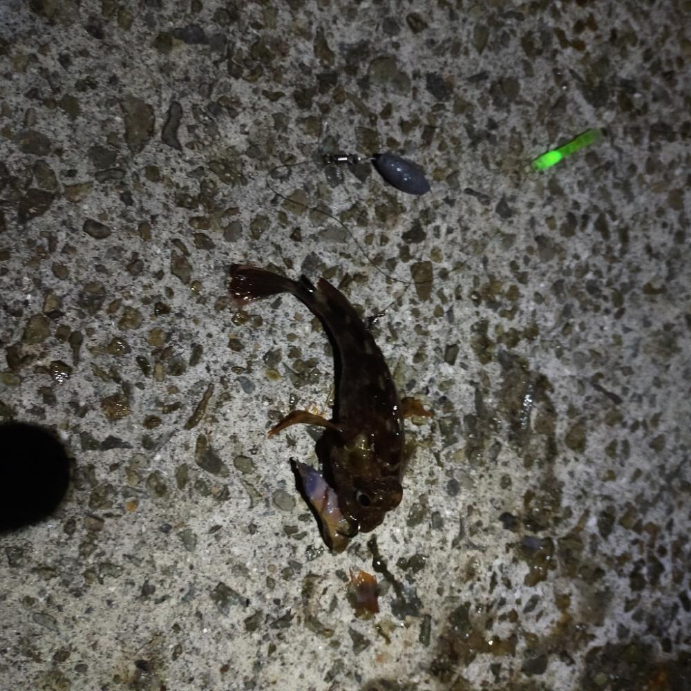 久々の通し釣行