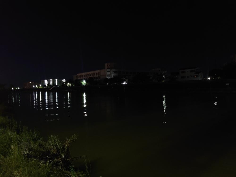 シーバス狙いでチヌ入れ喰い…