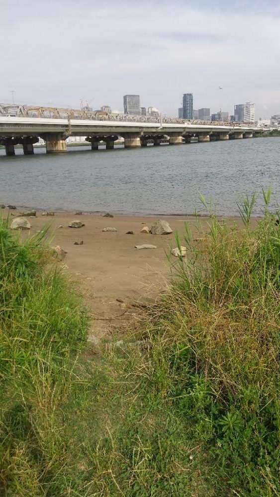 デキハゼ〜甘露煮用