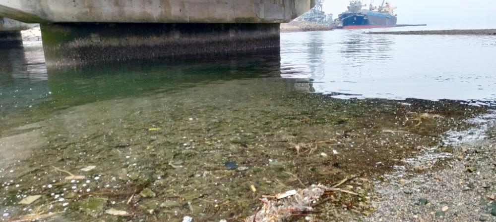 トップチニング