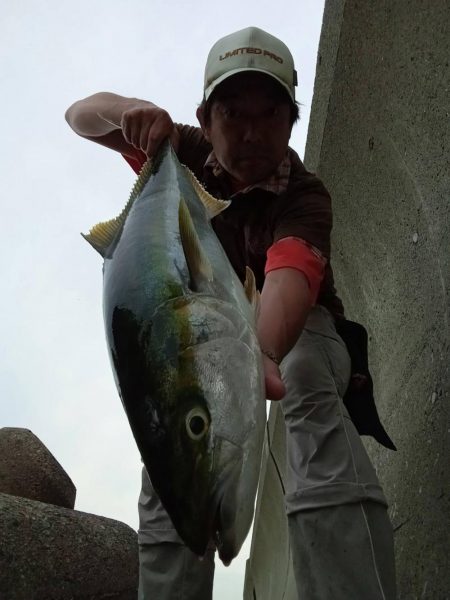 プチsalt water game