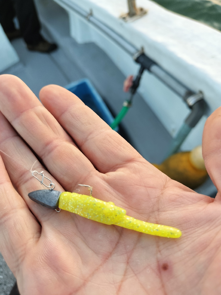 松兵衛さんでロックフィッシュ便☆