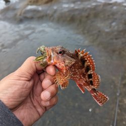 陸っぱり釣行記