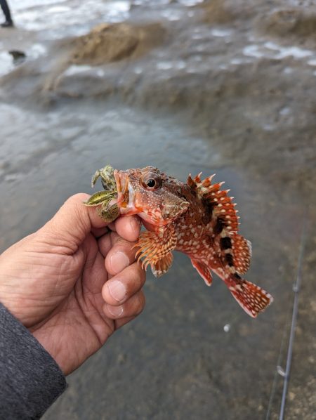陸っぱり釣行記