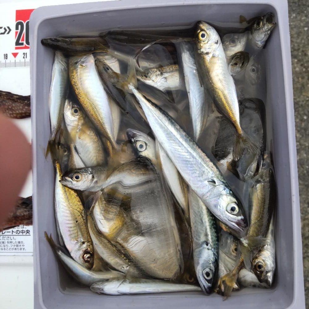 友人とアジュール舞子へ!