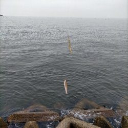 またまた接待キス!!