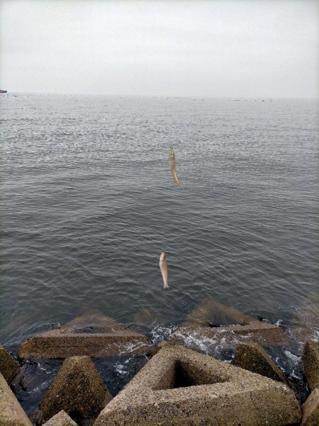 またまた接待キス!!