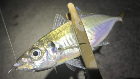 ラインスラッグ