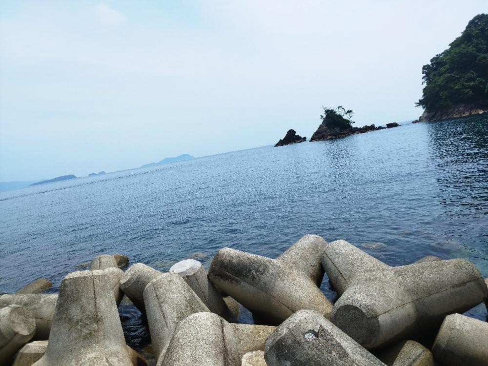 ここにもいた！アカハタ