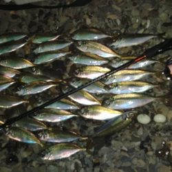 フロートゲーム～