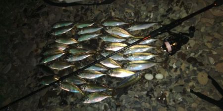 フロートゲーム～