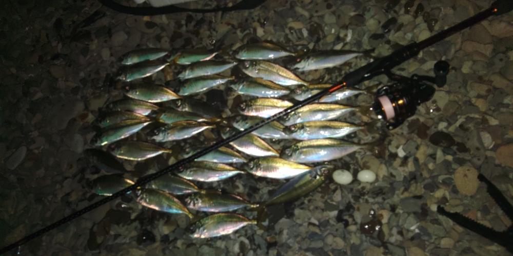 フロートゲーム~