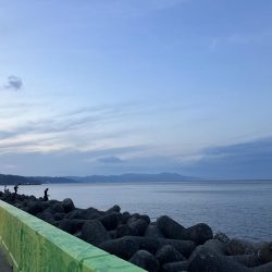 餌取りとの戦い