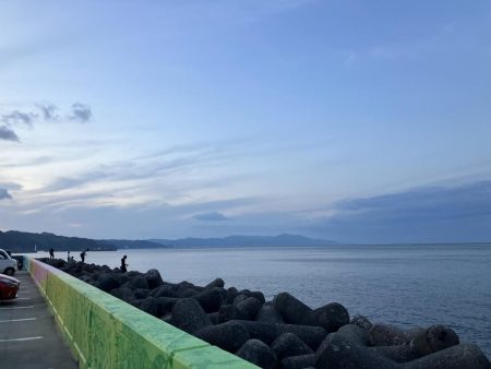 餌取りとの戦い