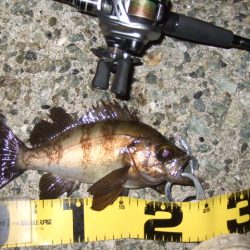 予想外の高活性