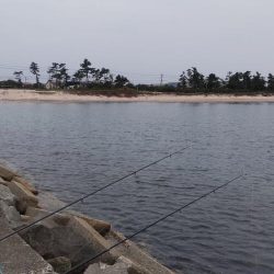 まぁまぁの釣果