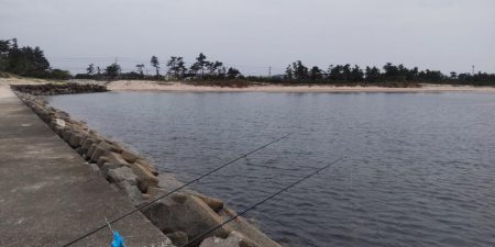 まぁまぁの釣果