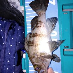 エギング　メバリング