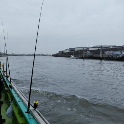 キス、アナゴリレー 吉野屋から