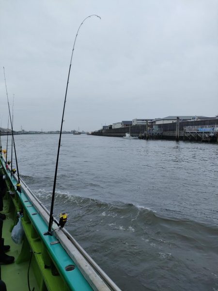 キス、アナゴリレー 吉野屋から