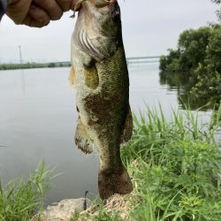 JACKALL FISHING  MEET UP