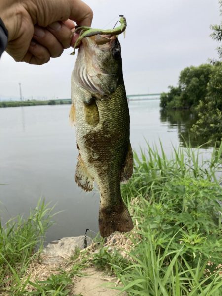 JACKALL FISHING  MEET UP