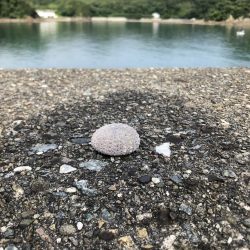 ライトロックフィッシング#1