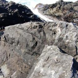 いいサイズが釣れました。