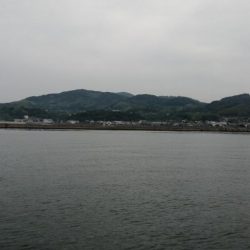 大雨の前にアナゴ！