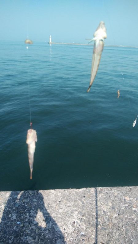 久しぶりの釣行