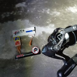 ナイターアジング