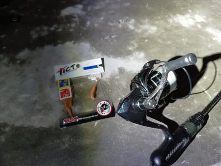 ナイターアジング