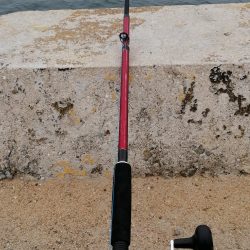 爆風の前にコブダイ！