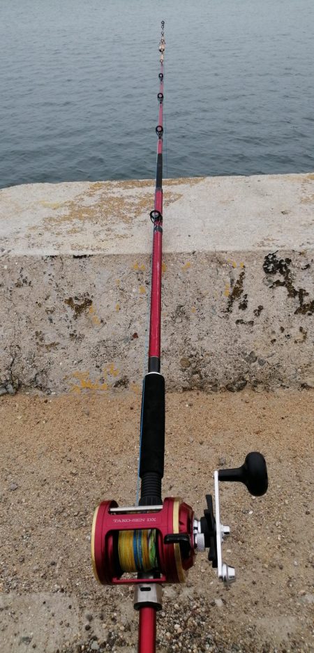 爆風の前にコブダイ！