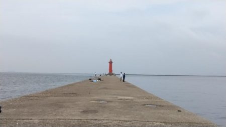 播磨新島のキス釣査