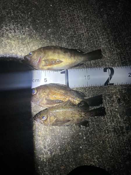 今日も仕事終わりに