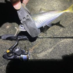 2023 佐渡ヶ島 ライトゲーム 6月24日