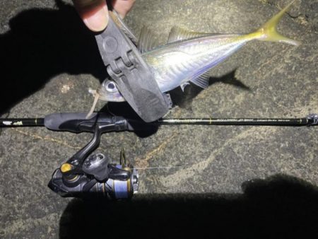 2023 佐渡ヶ島 ライトゲーム 6月24日