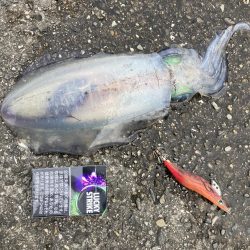 こういう展開だからこそ俺は燃えてくる男だ