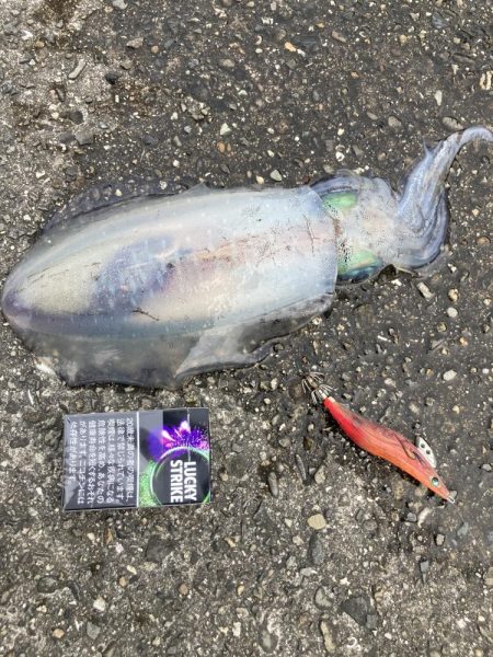 こういう展開だからこそ俺は燃えてくる男だ